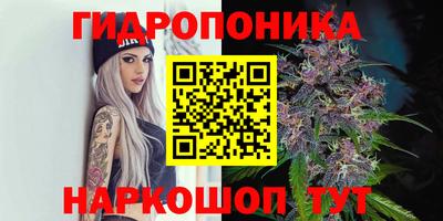 амф Бузулук