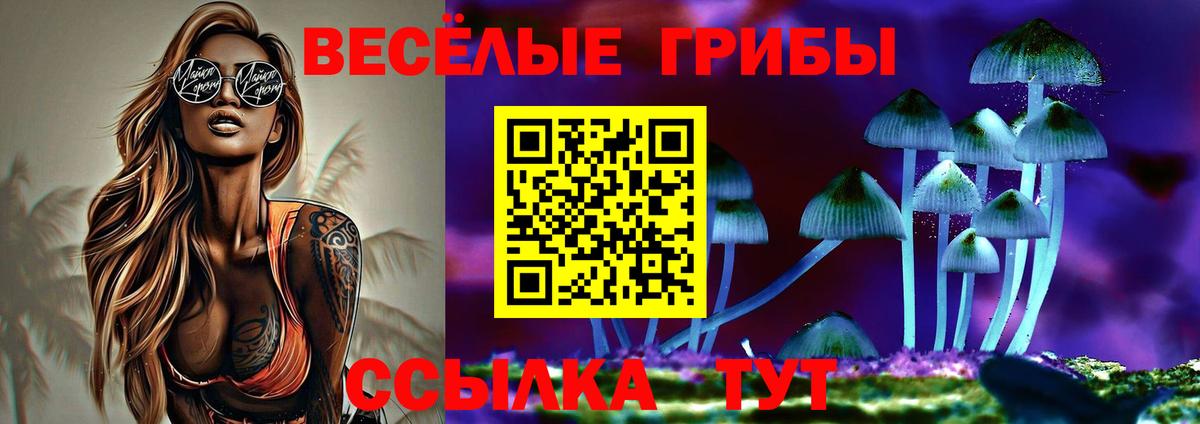 Псилоцибиновые грибы прущие грибы Петропавловск-Камчатский