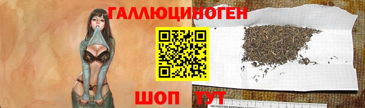 Петропавловск-Камчатский  Псилоцибиновые грибы Magic Shrooms  Вход с VPN 